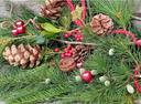 Adventsgesteck im Botanischen Garten