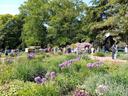 Pflanzenmarkt im Botanischen Garten in Krefeld