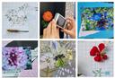 Foto-Collage von verschiedenen Blumen