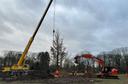 Baukräne stellen Traubeneichen auf