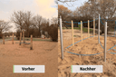 Spielgerät Höcherdyk vorher und nachher