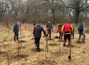 Menschen pflanzen kleine Baumsetzlinge am Waldesrand