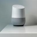 Google Home kann jetzt mit wibutler genutzt werden
