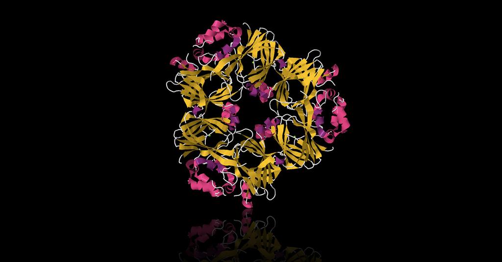 Introduction to component-resolved diagnostics in allergy