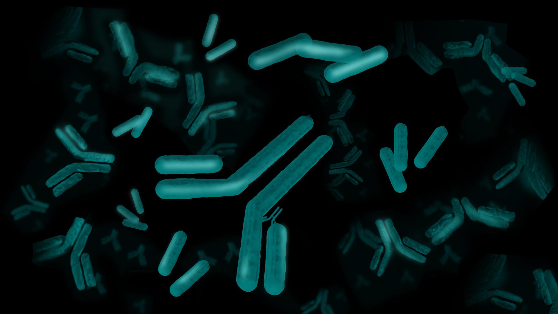 Free Light Chain Testing From MGUS to Multiple Myeloma