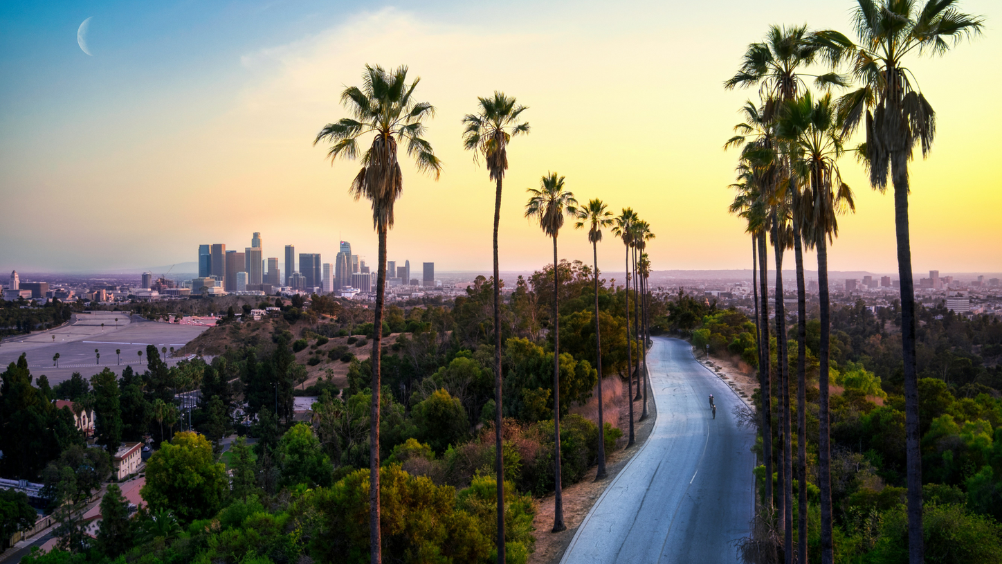 City overview LA