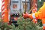 Weihnachtsbaumabholung mit Handschuh