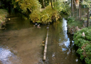 Zusammenfluss von Kleinem Leinakanal und Flößgraben in Emleben