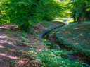 Der Leinakanal führt im Gothaer Schlosspark kaum noch Wasser. Die Vegetation kann noch davon profitieren – für den Betrieb der Wasserkunst reicht das Wasser nicht aus. © Funke Medien Thüringen | Dirk Bernkopf