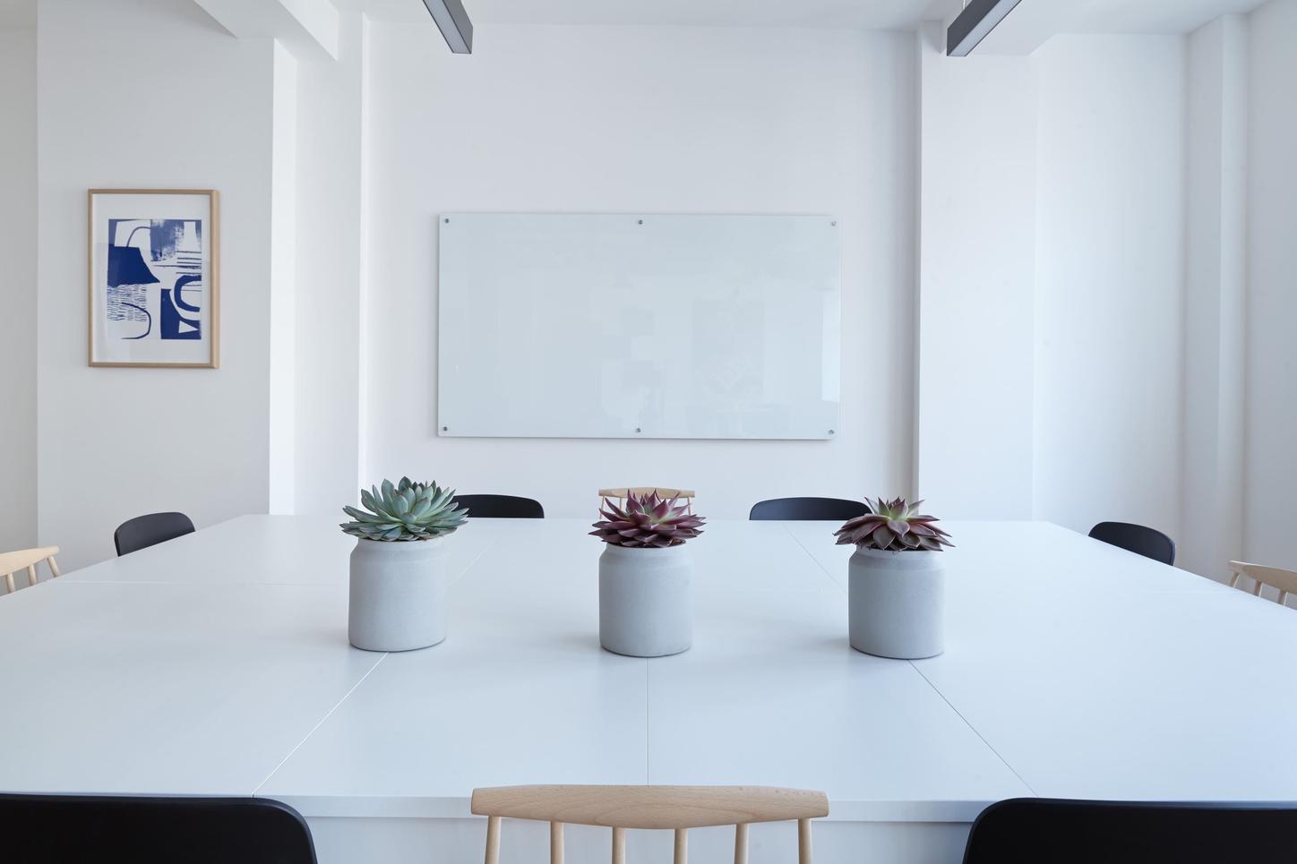 Meeting room with three white plants