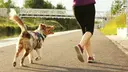 Jogger with her dog, jogging along a river