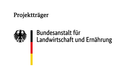 Logo BLE