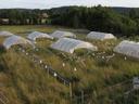 Roof structures over a meadow