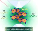 Grafik einer Diamantstempelzelle mit der neu entdeckten Verbindung Magnesiumchlorid