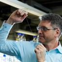 Prof. Dr. Thomas Scheibel hält Spinnenseide zwischen seinen beiden Händen gespannt und betrachtet sie