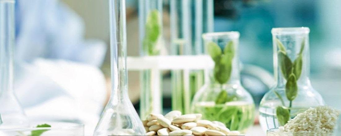 Food Quality and Safety, Master of Science (M.Sc.)