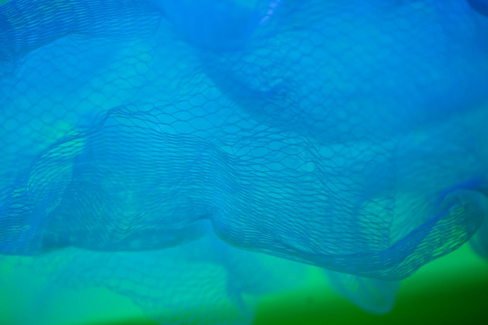 Was ist Digitalisierung? Und was nicht? 