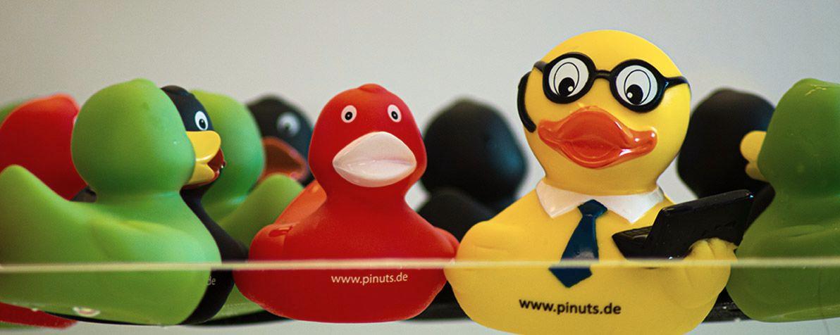 Pinuts Enten
