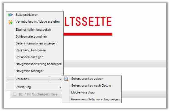 CMS OpenText: Vorschau-Funktion