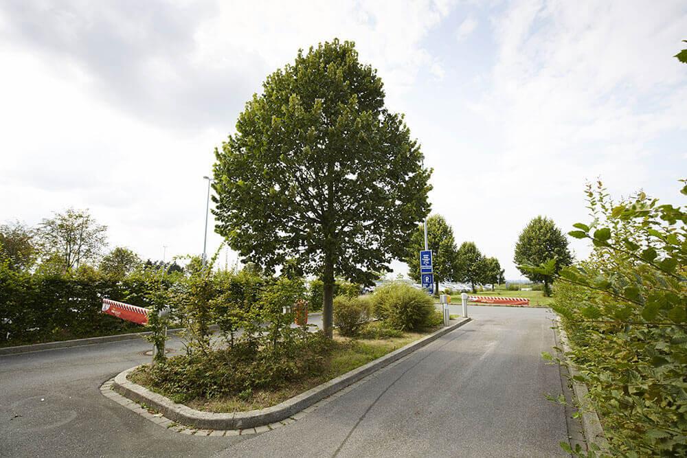 Die begrünte Einfahrt des Parkplatz P6.
