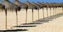 Sonnenschirme am Strand von Faro