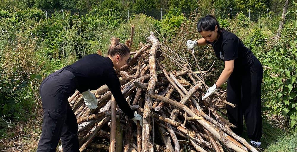 Auszubildende des Dortmund Airport bauen einen Totholzhaufen zur Unterstützung der Biodiversität.