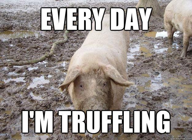 Truffling Meme