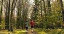 Summer Feeling Runathon