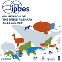 Bayreuther GCE-Studierende beim IPBES-8 Plenum