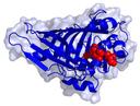 Natural products and drugs: A unique potential for medicine and pharmacy