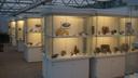 Die Paläobotanische Sammlung Rossman an der Universität Bayreuth