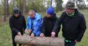 Beteiligte am Naturschutzprojekt beim Animpfen von Pilzen an einem Baumstamm