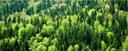 Update Sustainability Strategy