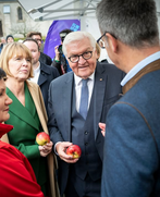 Bundespräsident Steinmeier