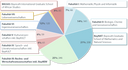 Tortendiagramm
