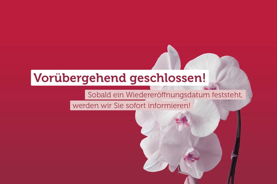 Vorübergehende Corona-Schließung der Loma-Sauna und des Spa & Beauty-Bereichs