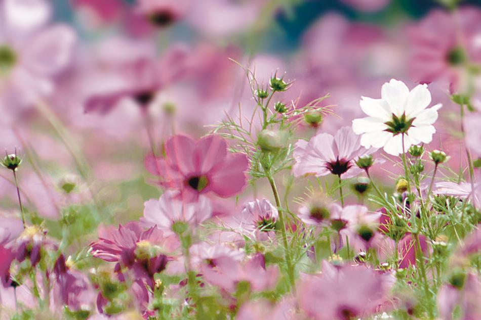 Quartalsangebot Sommer im Spa & Beauty