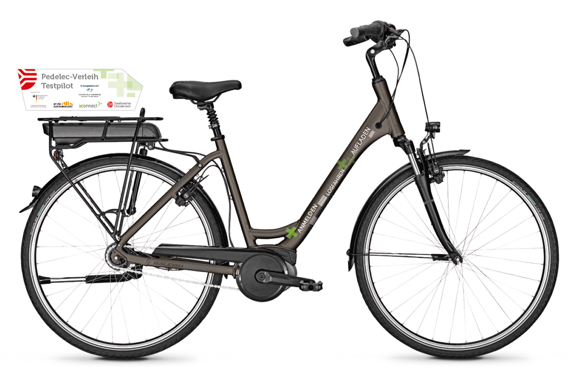 e-Bike Modell aus dem Pedelec-Verleih