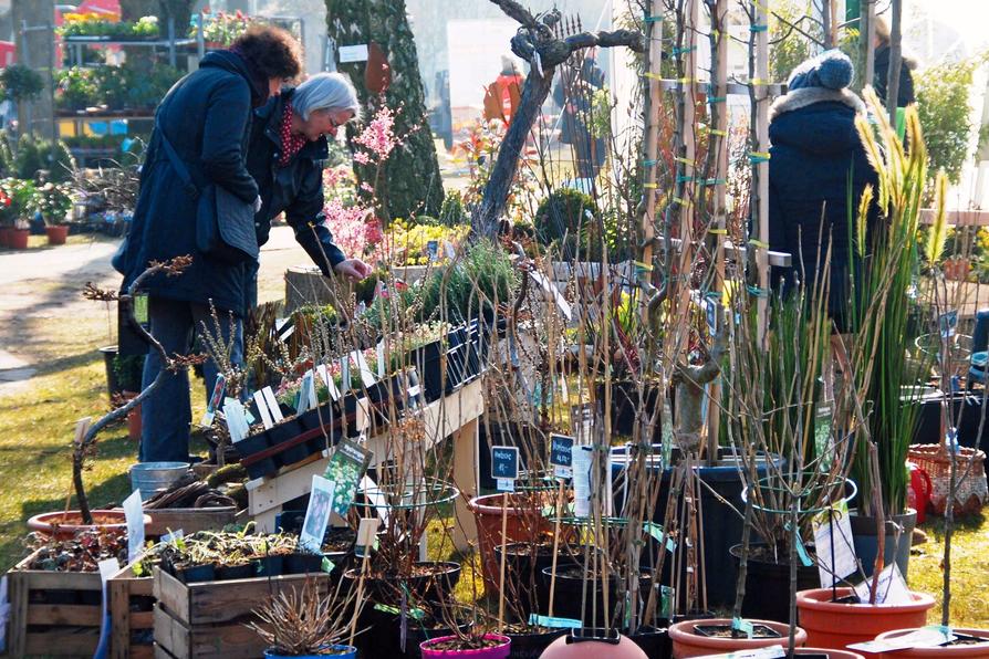 Bei der „Gartenzeit“ im Moskaubad werden am 7. April Frühlings- und Gartentrends vorgestellt.