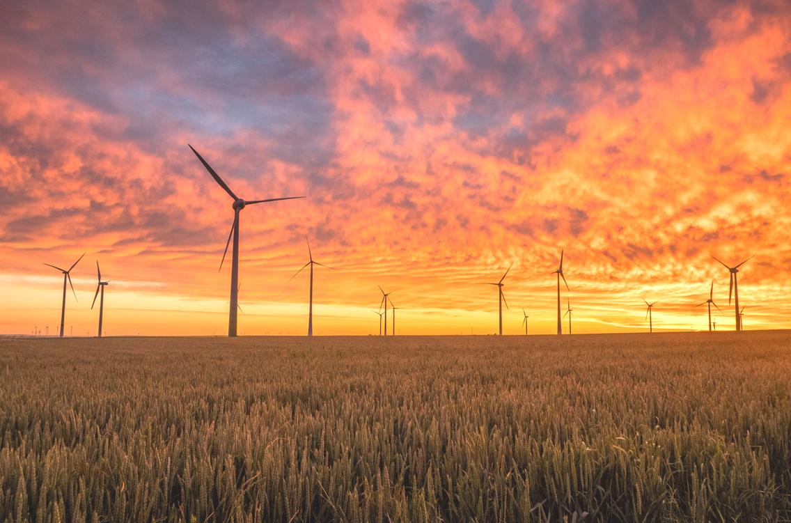 Windräder auf einem Feld beim Sonnenuntergang