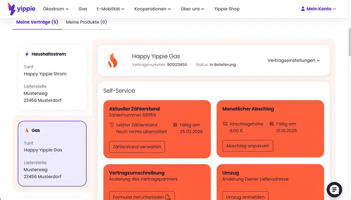Screenshot des Kundenportals, Vertragsbereich sichtbar. Self-Service Bereich sichtbar, Reiter Dokumente darunter.