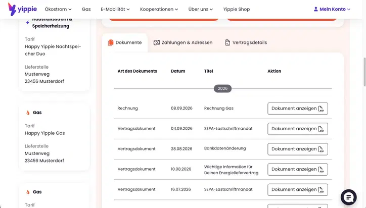 Screenshot des Kundenportals, Vertragsbereich sichtbar. Gastarif ausgewählt