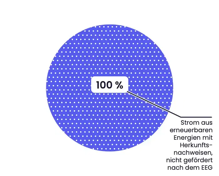 Kreisdiagramm, das den Gesamtenergieträgermix der Yippie 2025 darstellt. Ein Segment: 100 % Strom aus erneuerbaren Energien mit Herkunftsnachweisen, nicht gefördert nach dem EEG