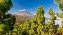 Majestätischer Vulkan Teide auf Teneriffa mit grünen Kiefern im Vordergrund und blauem Himmel – Naturhighlight auf den Kanarischen Inseln
