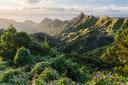 Üppig bewachsene Landschaft in den Anaga-Bergen auf Teneriffa mit grünen Hügeln, violett blühenden Pflanzen im Vordergrund und Blick auf Meer und Himmel.