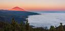 Sonnenaufgang über dem Teide-Vulkan auf Teneriffa, mit rötlich beleuchtetem Gipfel, Wolkenmeer darunter und grünen Kiefern im Vordergrund.