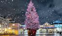 Großer, festlich geschmückter Weihnachtsbaum auf einem städtischen Platz bei Nacht. Der Baum ist mit zahlreichen Lichtern und Ornamenten verziert, während sanft Schnee fällt. Umgeben von beleuchteten Gebäuden entsteht eine stimmungsvolle, festliche Atmosphäre.