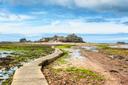 Blick auf die mittelalterliche Festung Elizabeth Castle auf Jersey. Ein schmaler Weg führt bei Ebbe durch das Watt und über felsigen Untergrund zur Insel, umgeben von grünen Algenflächen und einem bewölkten Himmel.