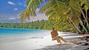 Tropischer Strand mit weißem Sand, türkisfarbenem Wasser und Palmen. Eine Person schwingt an einer Seilschaukel, die an einer Palme befestigt ist – ein Sinnbild für Entspannung und Urlaubsgefühl.
