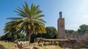 Historische Ruinenanlage mit verstreuten Steinmauern und Mauerresten im Vordergrund. Eine große Palme steht links im Bild, während rechts ein schlanker steinerner Turm mit ornamentierten Verzierungen aufragt. Umgeben wird die Anlage von dichtem Grün unter einem klaren blauen Himmel.